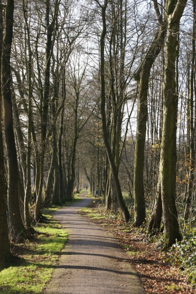 DSC01546 (400 x 600)